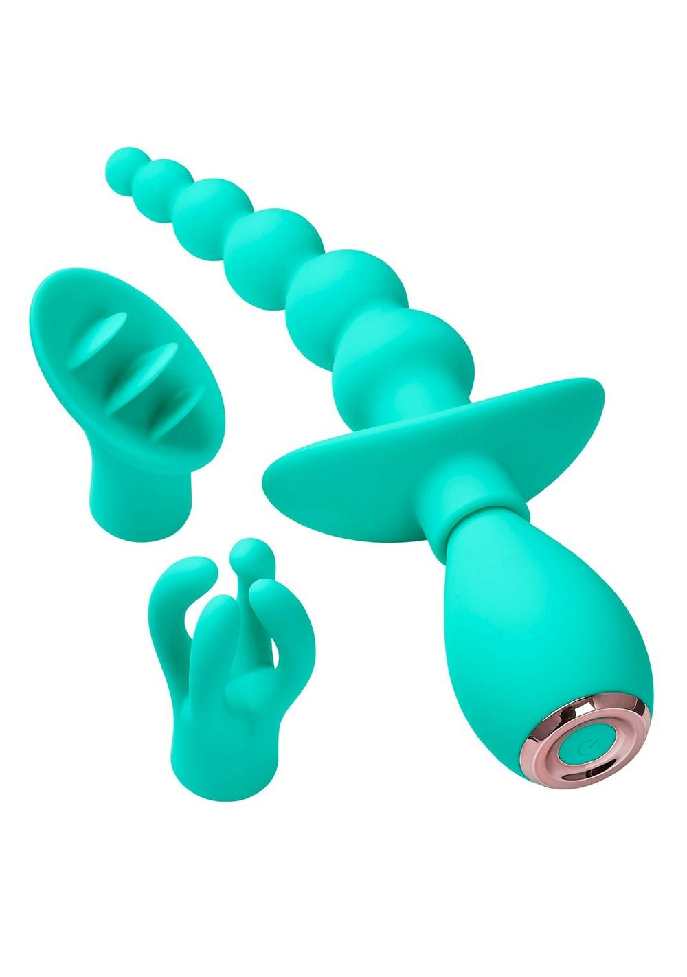 Health And Wellness Massager Kit Anal Plum