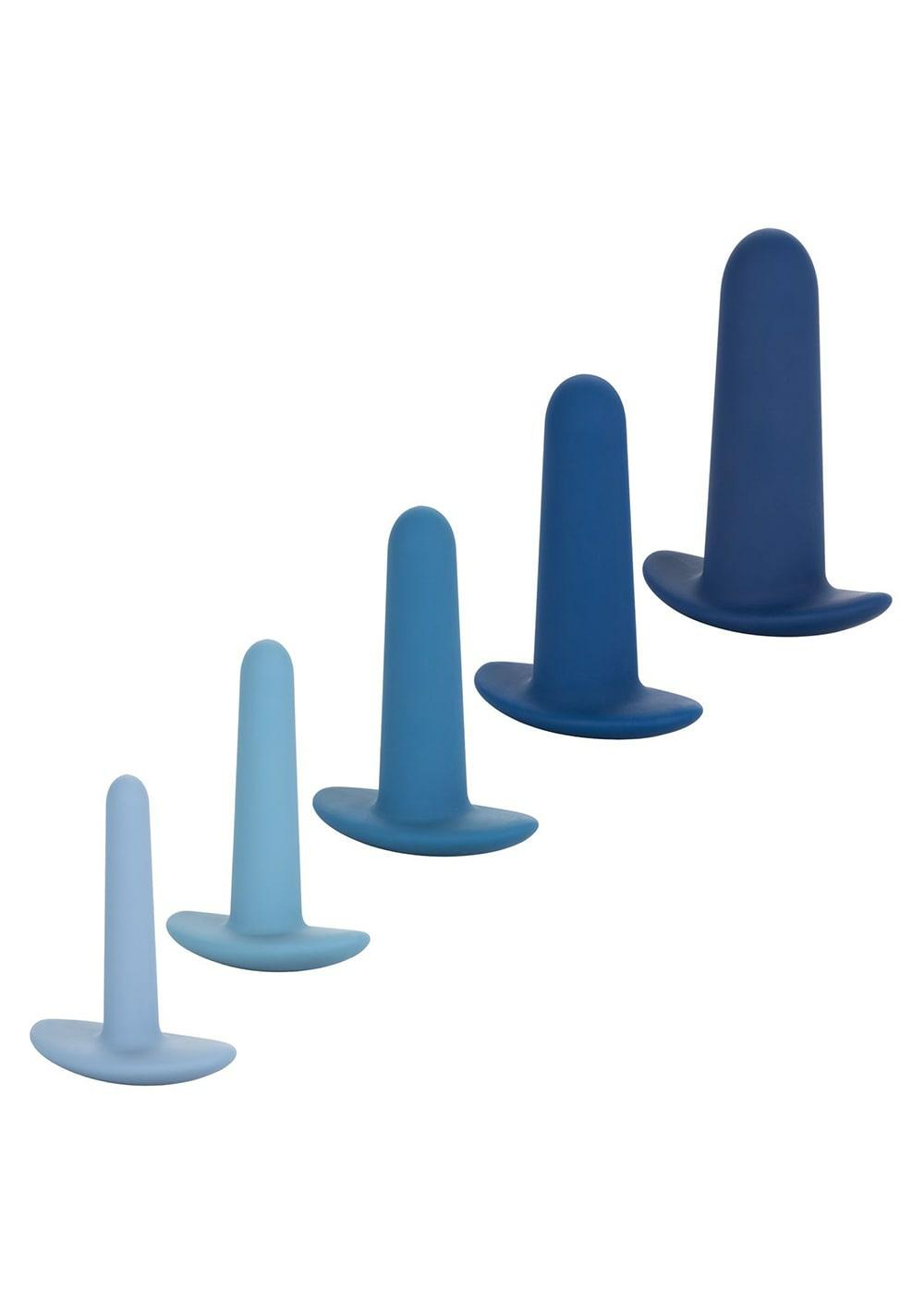 They-Ology 5-Piece Wearable Anal Training Set Anal